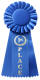 Customer Testiomony Blue Ribbon Award